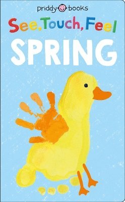 See, Touch, Feel: Spring 1