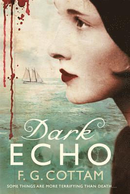 bokomslag Dark Echo: A Ghost Story