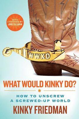 bokomslag What Would Kinky Do?