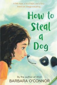 bokomslag How to Steal a Dog