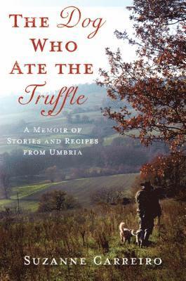 Suzanne Carreiro - The Dog Who Ate the Truffle: A Memoir of Stories and Recipes from Umbria, Inbunden