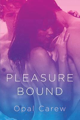 bokomslag Pleasure Bound
