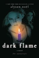 bokomslag Dark Flame