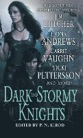 bokomslag Dark and Stormy Knights