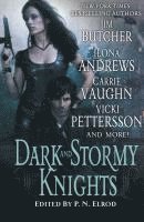 bokomslag Dark and Stormy Knights: A Paranormal Fantasy Anthology