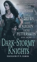 Dark and Stormy Knights: A Paranormal Fantasy Anthology