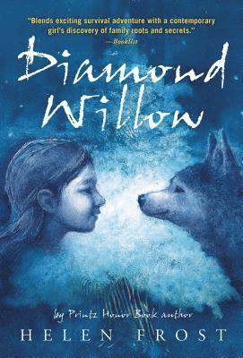 Diamond Willow 1