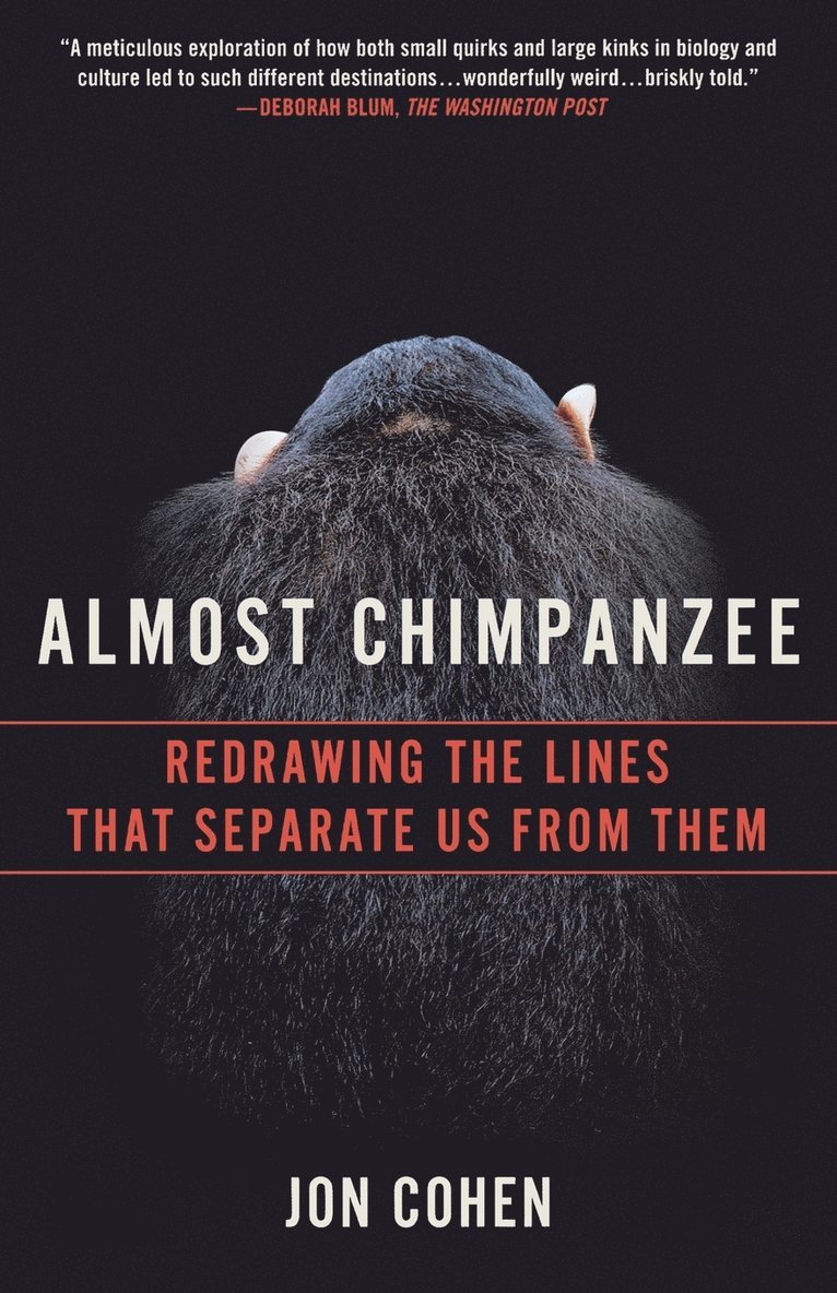 Almost Chimpanzee 1