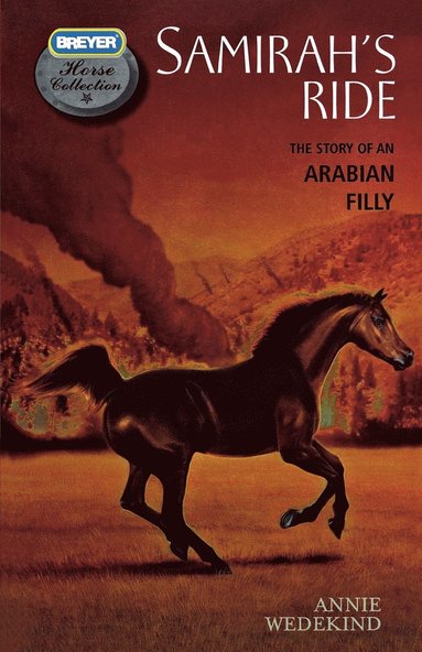 bokomslag Samirah's Ride: The Story of an Ara