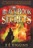 bokomslag The Black Book of Secrets