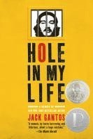 bokomslag Hole in My Life