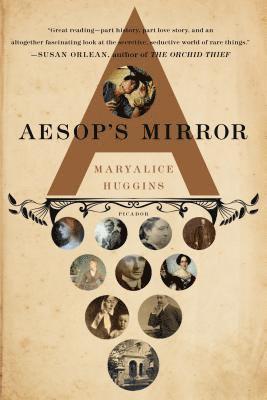 bokomslag Aesop's Mirror