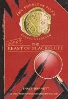 bokomslag The Beast of Blackslope