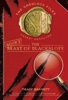 The Beast of Blackslope