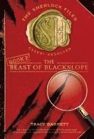 Beast Of Blackslope 1