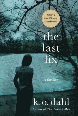 bokomslag The Last Fix