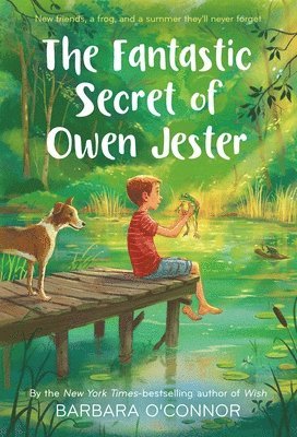 bokomslag Fantastic Secret Of Owen Jester