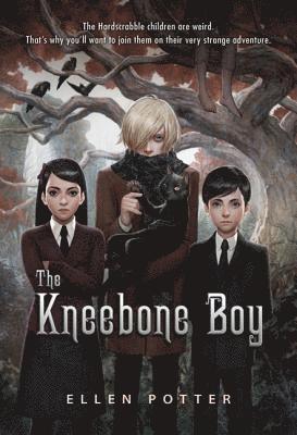 bokomslag Kneebone Boy