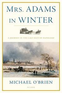 bokomslag Mrs. Adams in Winter