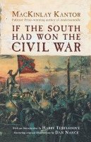 bokomslag If the South Had Won the Civil War