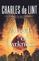 bokomslag Angel Of Darkness