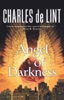 bokomslag Angel of Darkness
