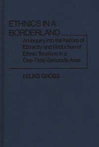 bokomslag Ethnics in a Borderland