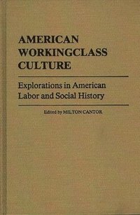 bokomslag American Workingclass Culture