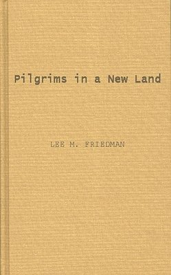 bokomslag Pilgrims in a New Land.