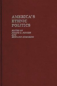 bokomslag America's Ethnic Politics