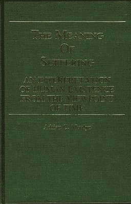 bokomslag Meaning of Suffering