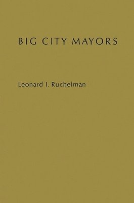 bokomslag Big City Mayors