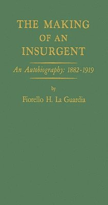 bokomslag Making of an Insurgent