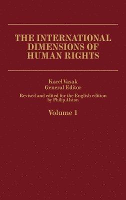 bokomslag International Human Rights V1