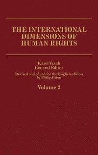 bokomslag International Human Rights V2