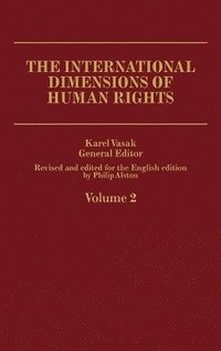 bokomslag International Human Rights V2