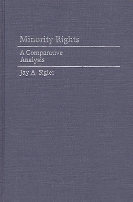 bokomslag Minority Rights