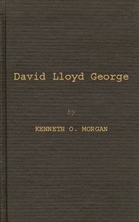 bokomslag David Lloyd George