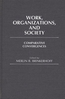 bokomslag Work, Organizations, and Society