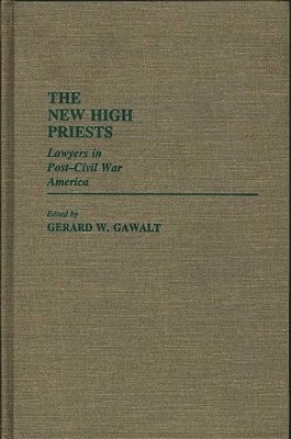 bokomslag New High Priests