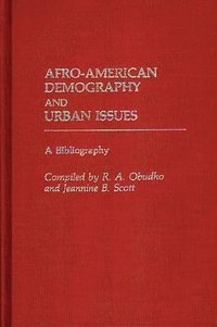 bokomslag Afro-American Demography and Urban Issues