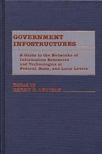 bokomslag Government Infostructures