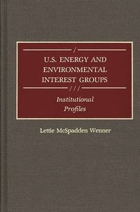 bokomslag U.S. Energy and Environmental Interest Groups