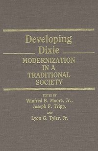 bokomslag Developing Dixie