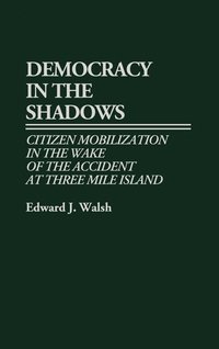 bokomslag Democracy in the Shadows