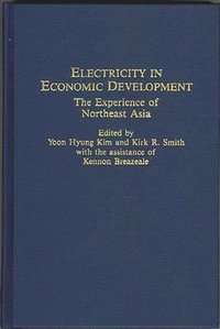 bokomslag Electricity in Economic Development