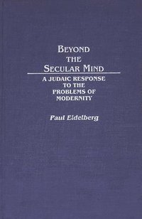 bokomslag Beyond the Secular Mind