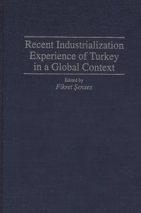 bokomslag Recent Industrialization Experience of Turkey in a Global Context