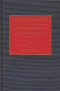 bokomslag Modernization and Stagnation