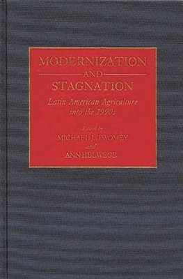 bokomslag Modernization and Stagnation